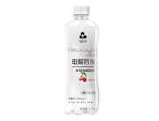 益正元电解质水荔枝味500ml